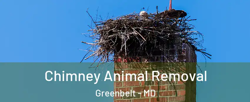 Chimney Animal Removal Greenbelt - MD
