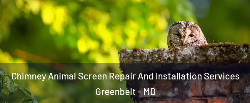Chimney Animal Screen Repair And Installation Services Greenbelt - MD