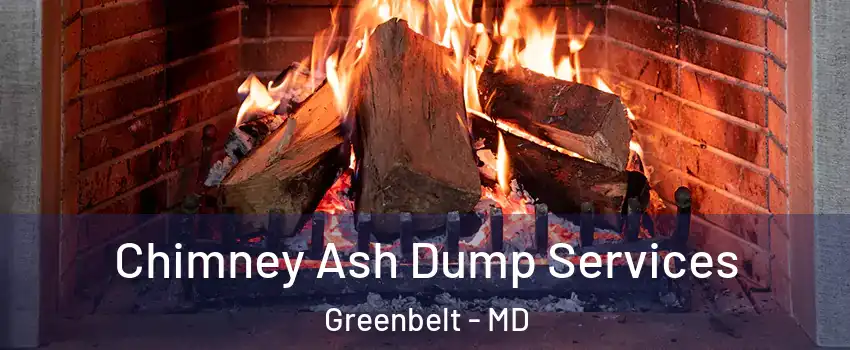 Chimney Ash Dump Services Greenbelt - MD