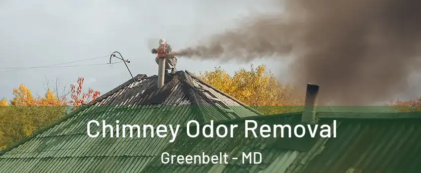 Chimney Odor Removal Greenbelt - MD
