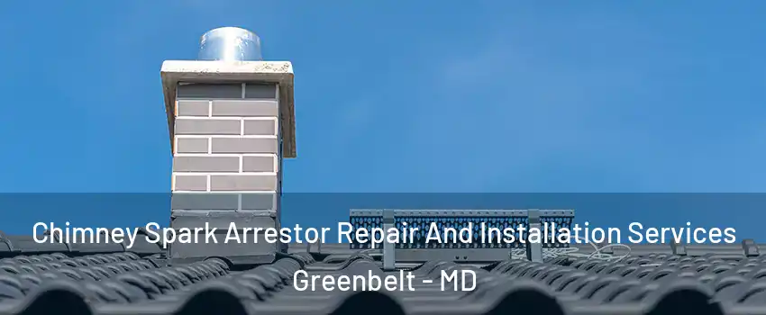 Chimney Spark Arrestor Repair And Installation Services Greenbelt - MD