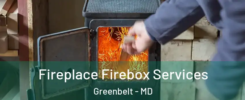  Fireplace Firebox Services Greenbelt - MD