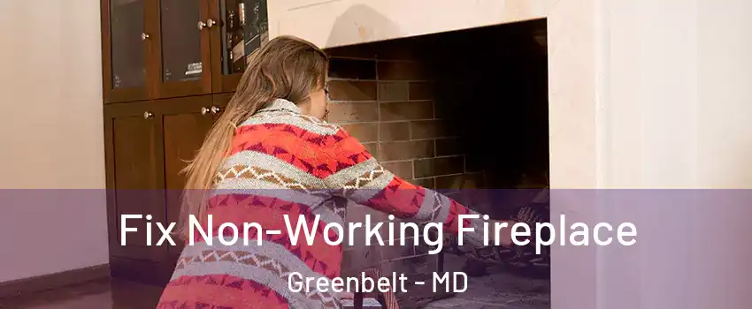 Fix Non-Working Fireplace Greenbelt - MD