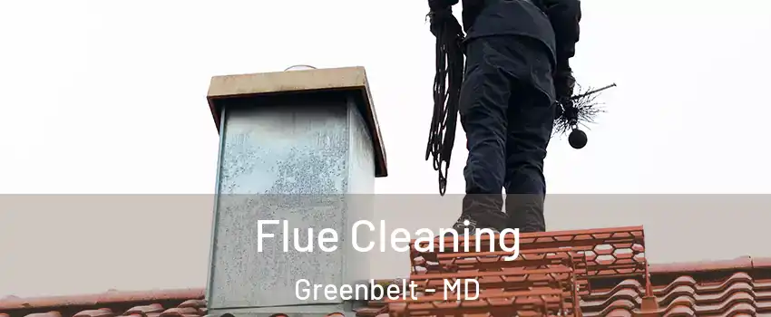 Flue Cleaning Greenbelt - MD