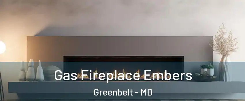 Gas Fireplace Embers Greenbelt - MD