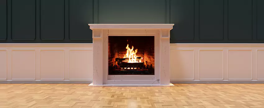 Napoleon Electric Fireplaces Inspection Service in Greenbelt, Maryland