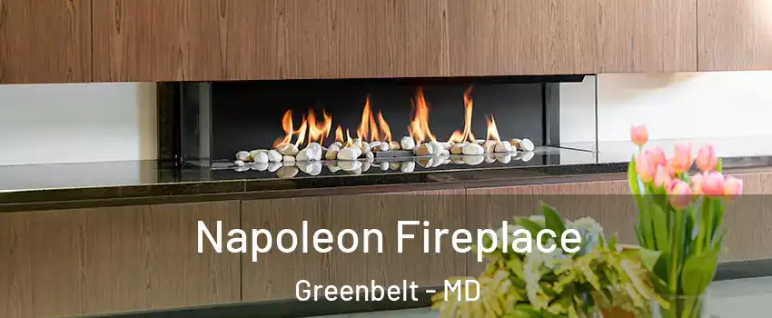 Napoleon Fireplace Greenbelt - MD